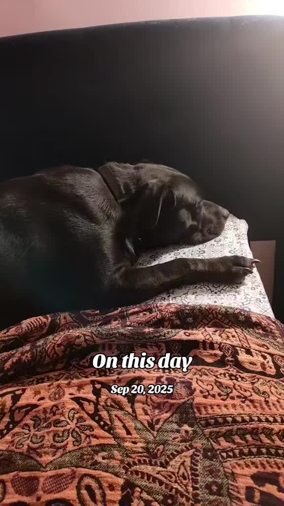 @oldfatchick
