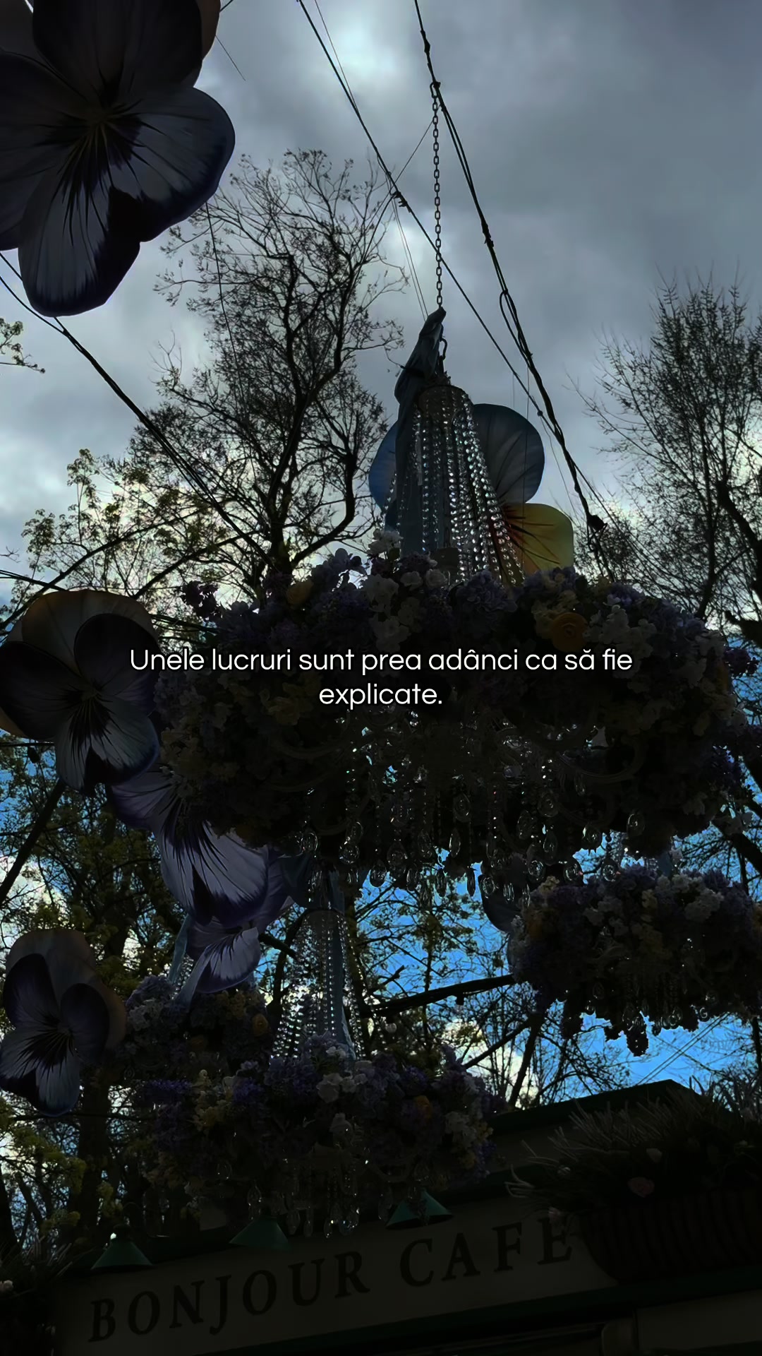 @livi)