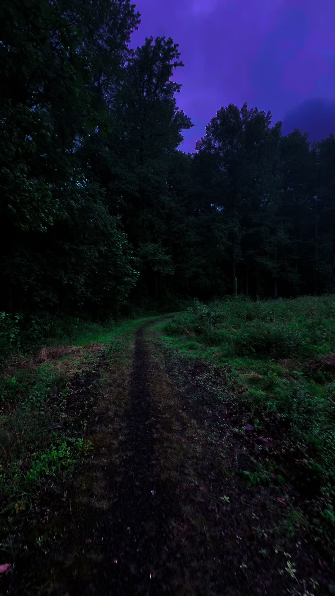 @DarkSpaces