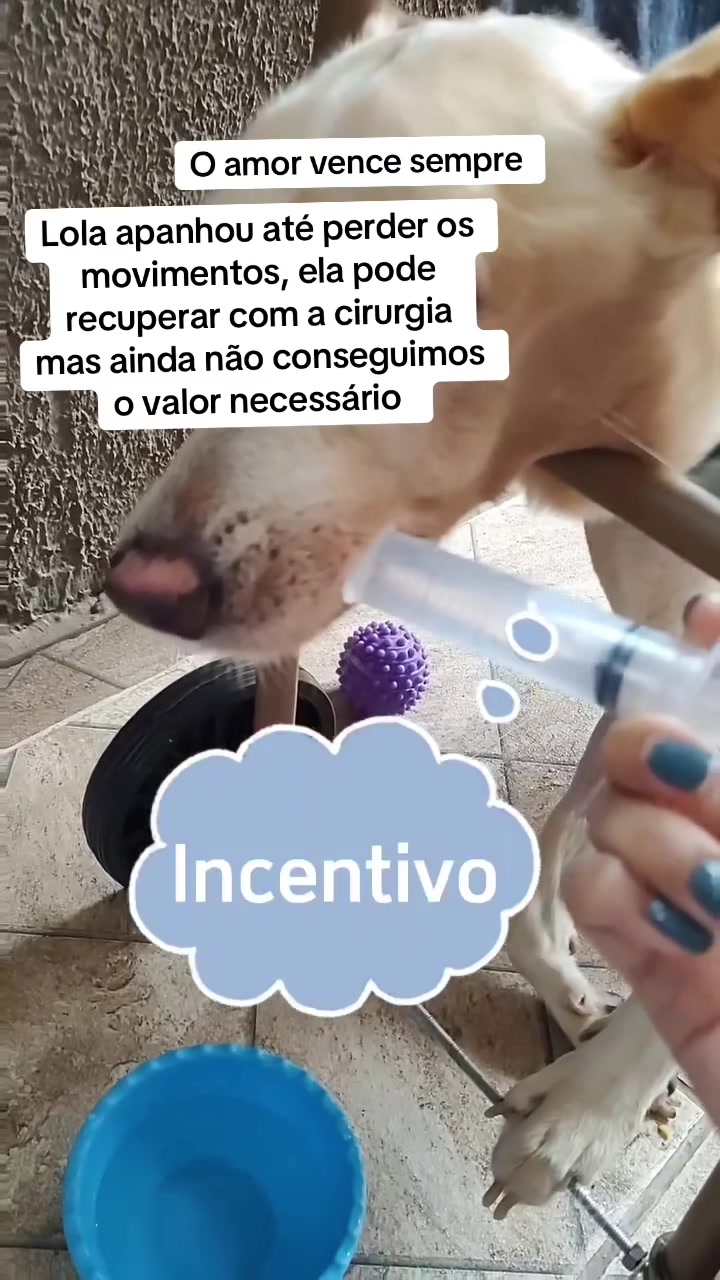 @Ajude a Lola