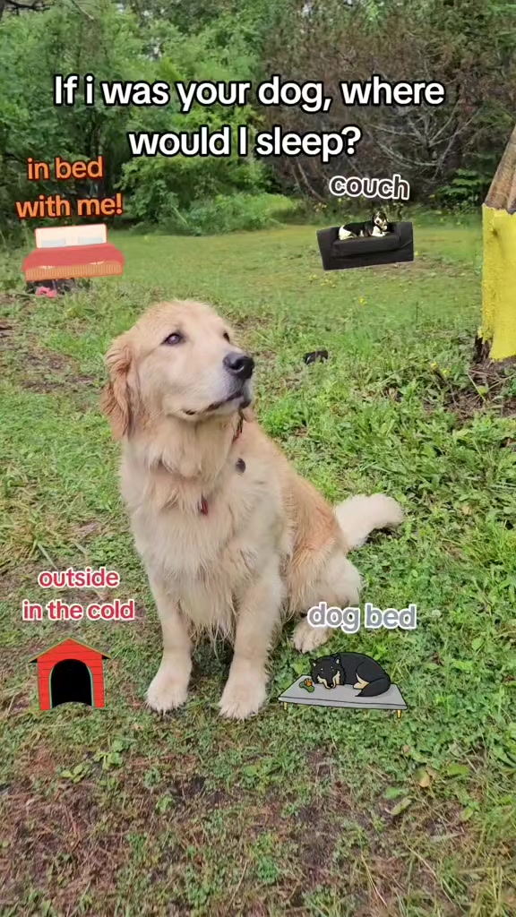 @🐶Griffin