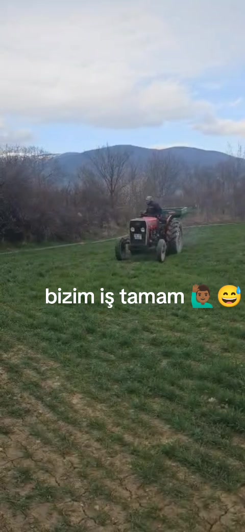 @Halil