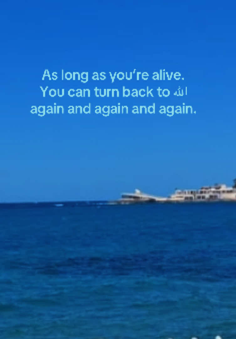@عائشة