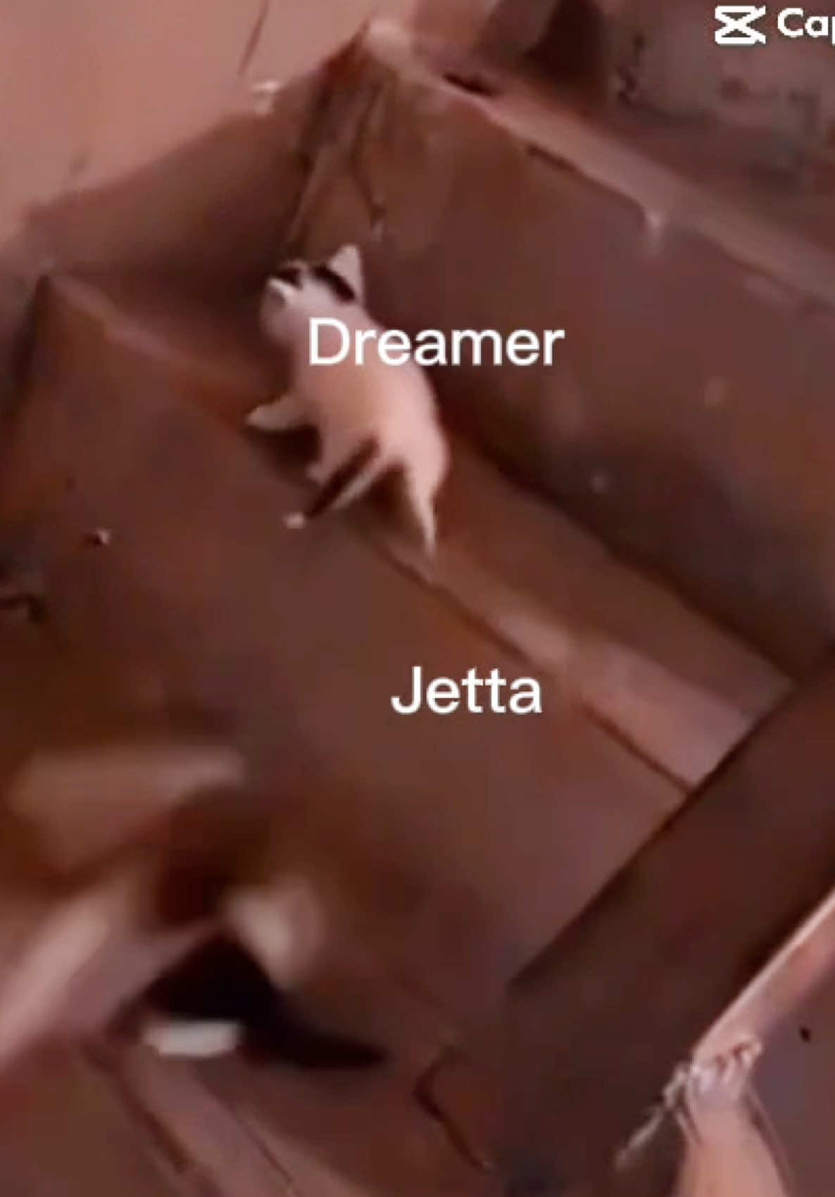 @Mc_dreamer