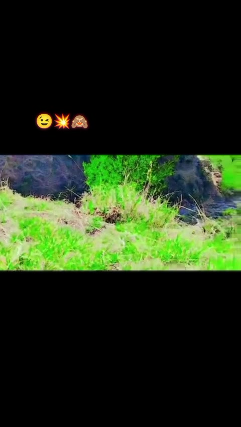 @𝐀̄ 𝐅♥︎➳𝑻𝒓𝒂𝒅𝒆𝒓3382⃝𝑭📊