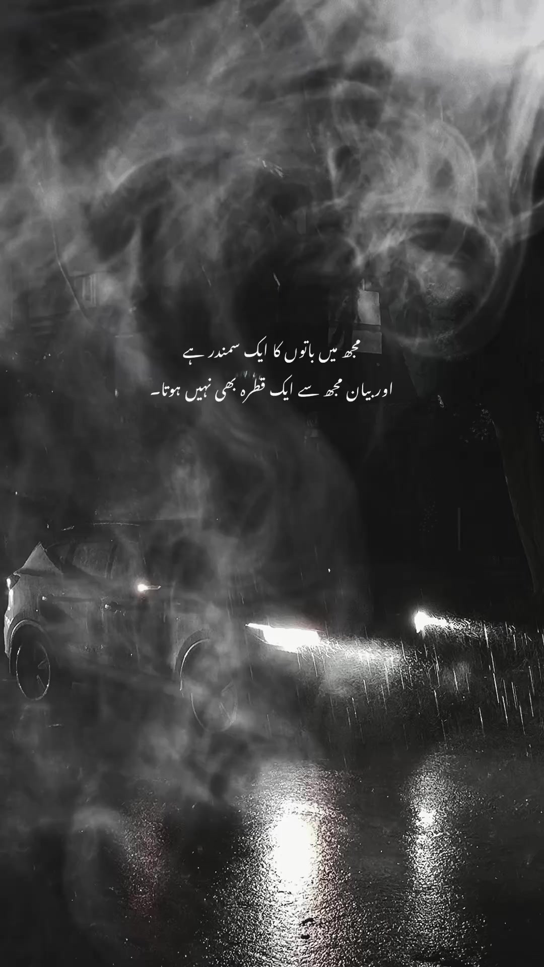 @Usama Tahir❤️&zwj;🩹