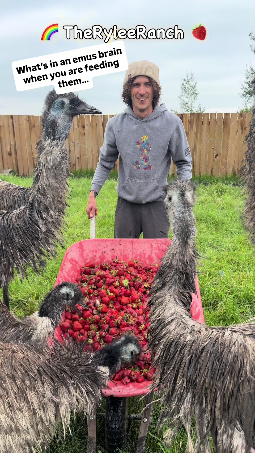 @RyleeRanch