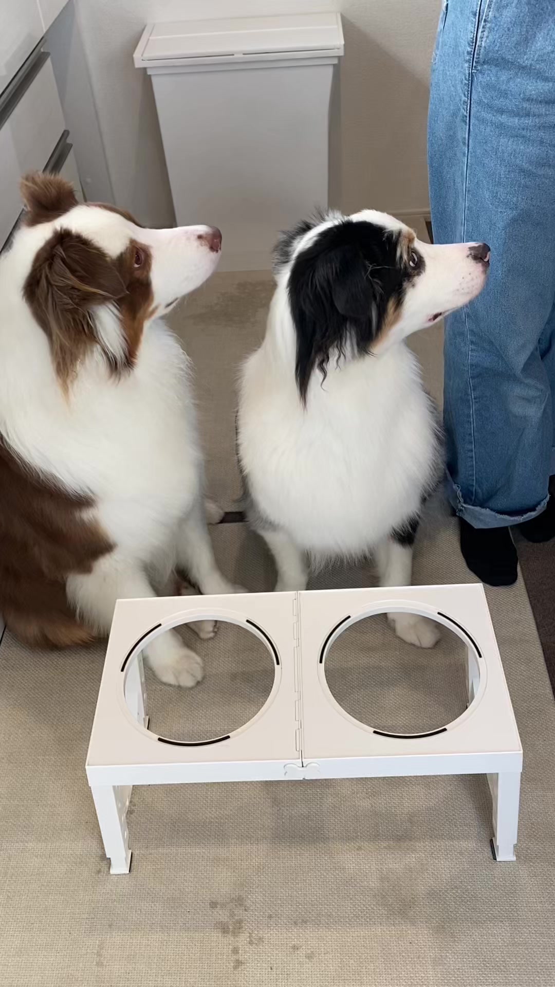 @サン&タマ