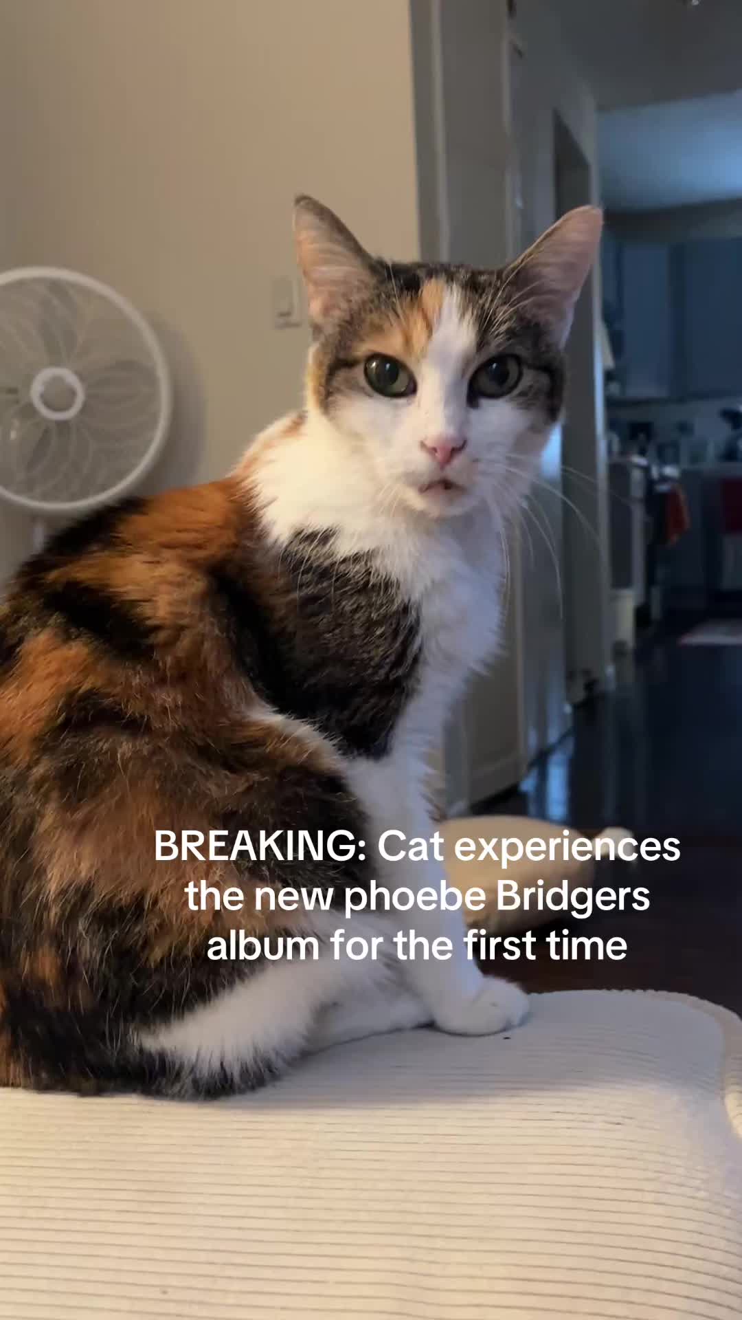 @pennyloafersmom