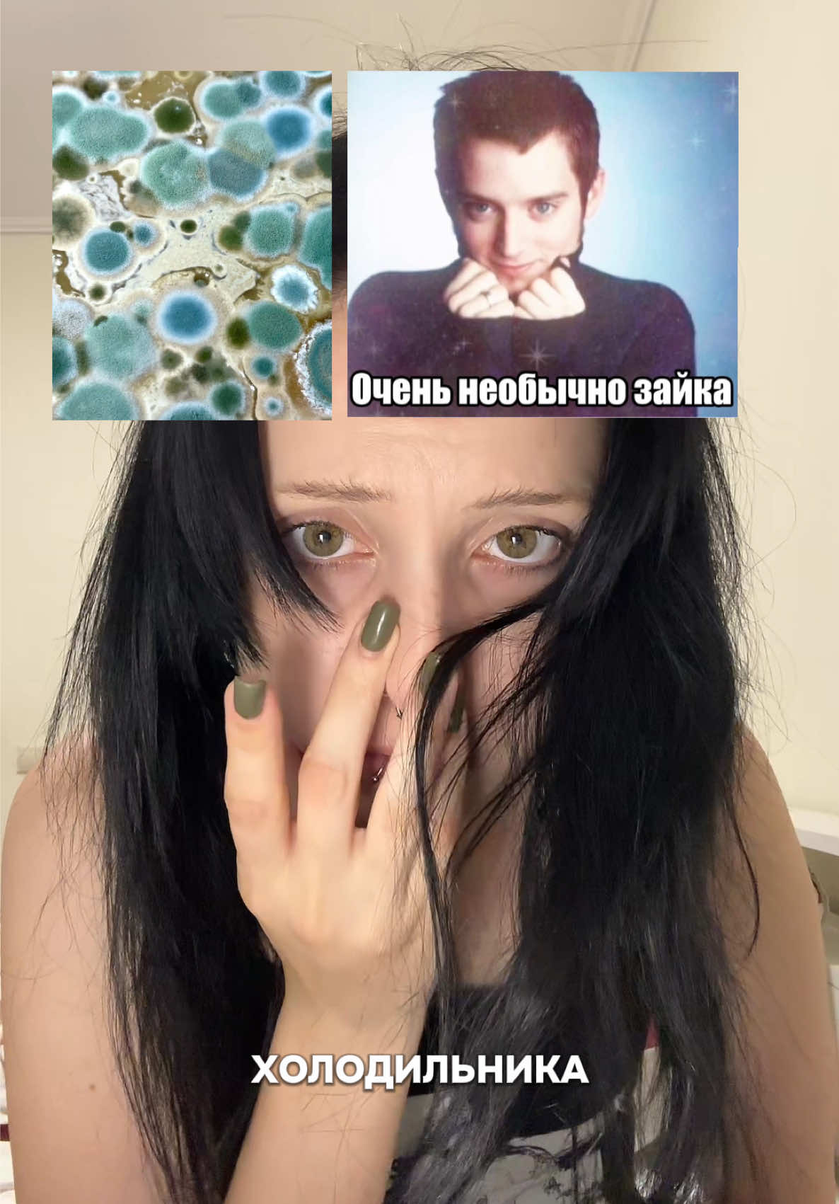 @Тгк: Храм Харакири