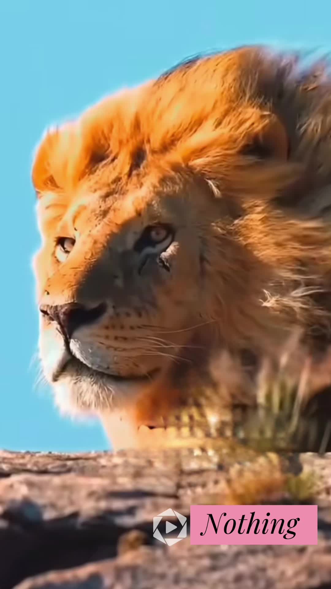 @Nebix (ፍቅር )