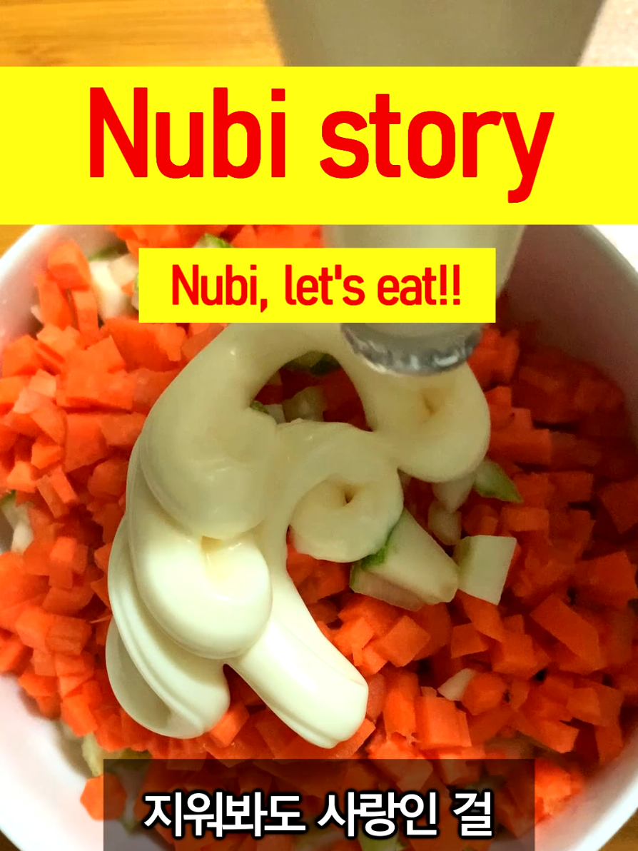 @누비★스토리 Nubi story