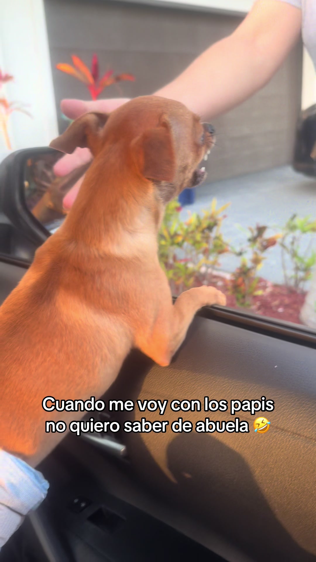 @Gloria Hernandez