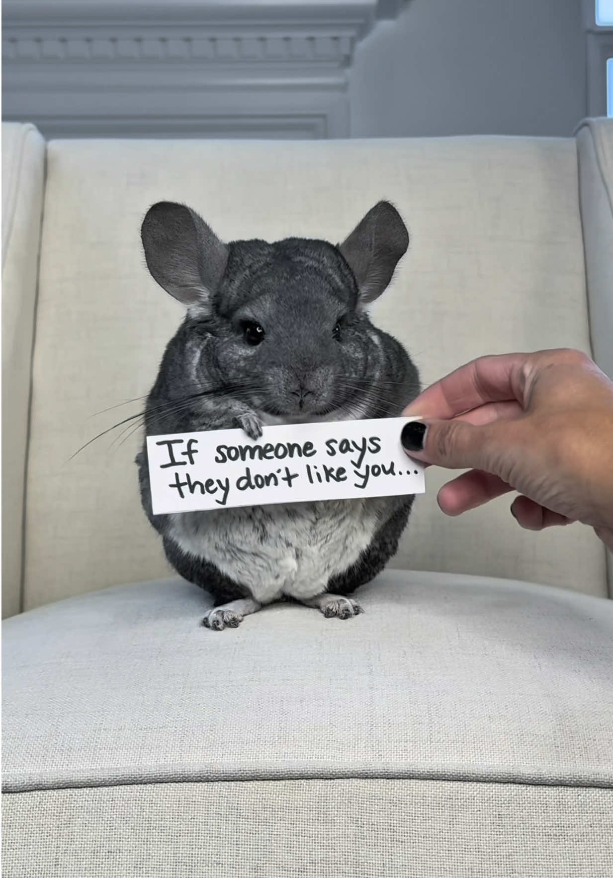 @Phil E. Chinchilla