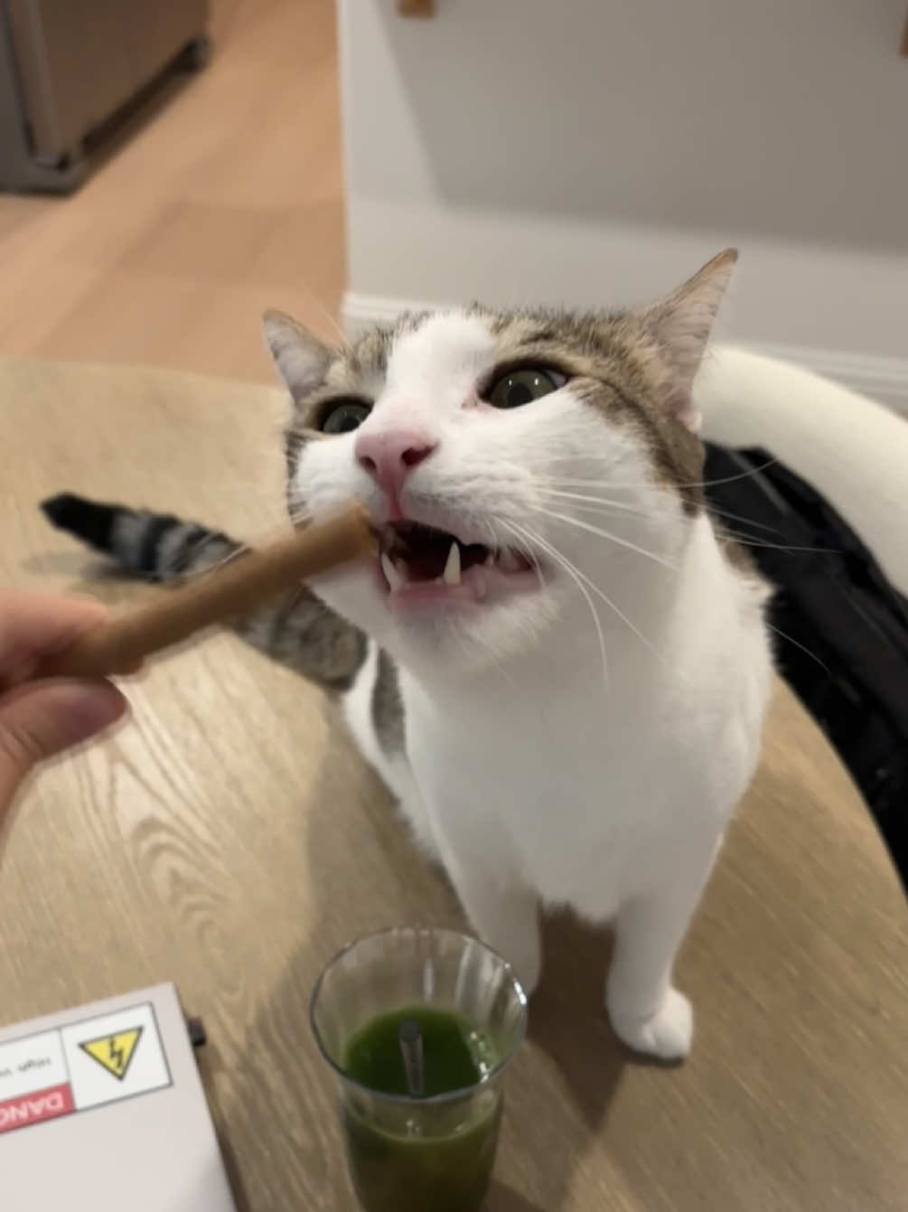 @Mimi Wawa Meow