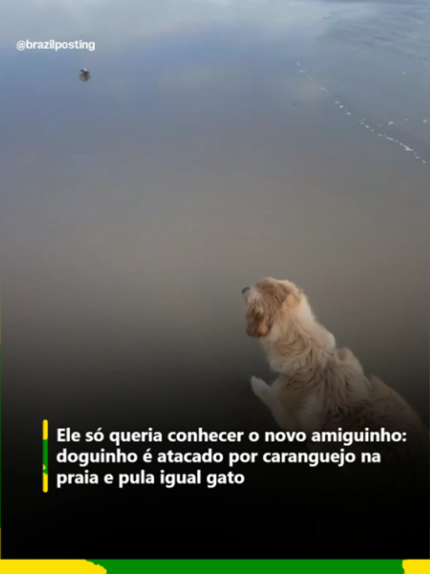 @Brazil Posting
