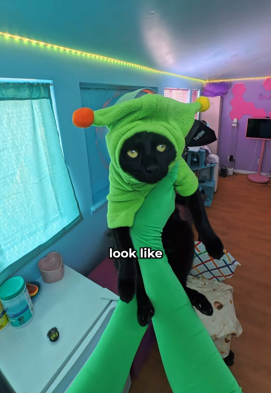 @POVINME