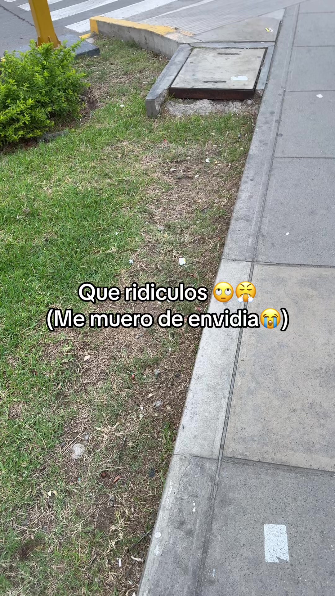 @Luis Milla Youtube