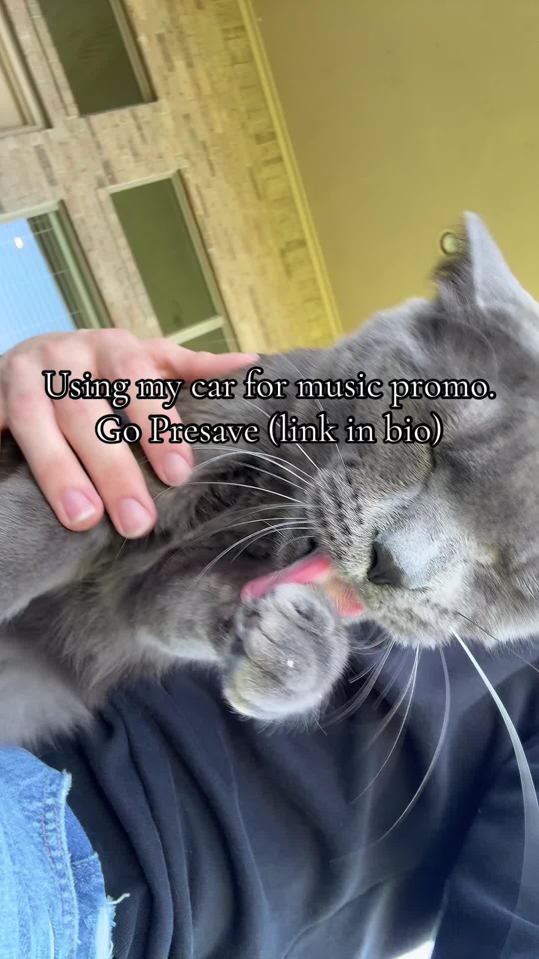 @Tayden🕸️