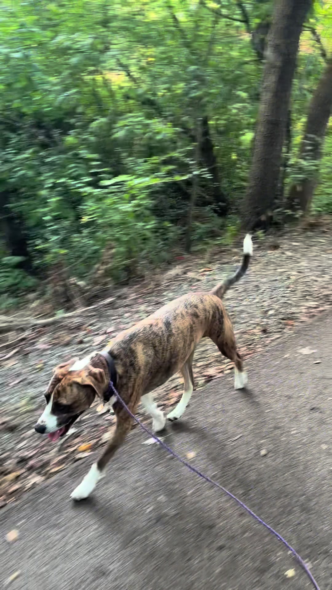 @Hikingwithstanley