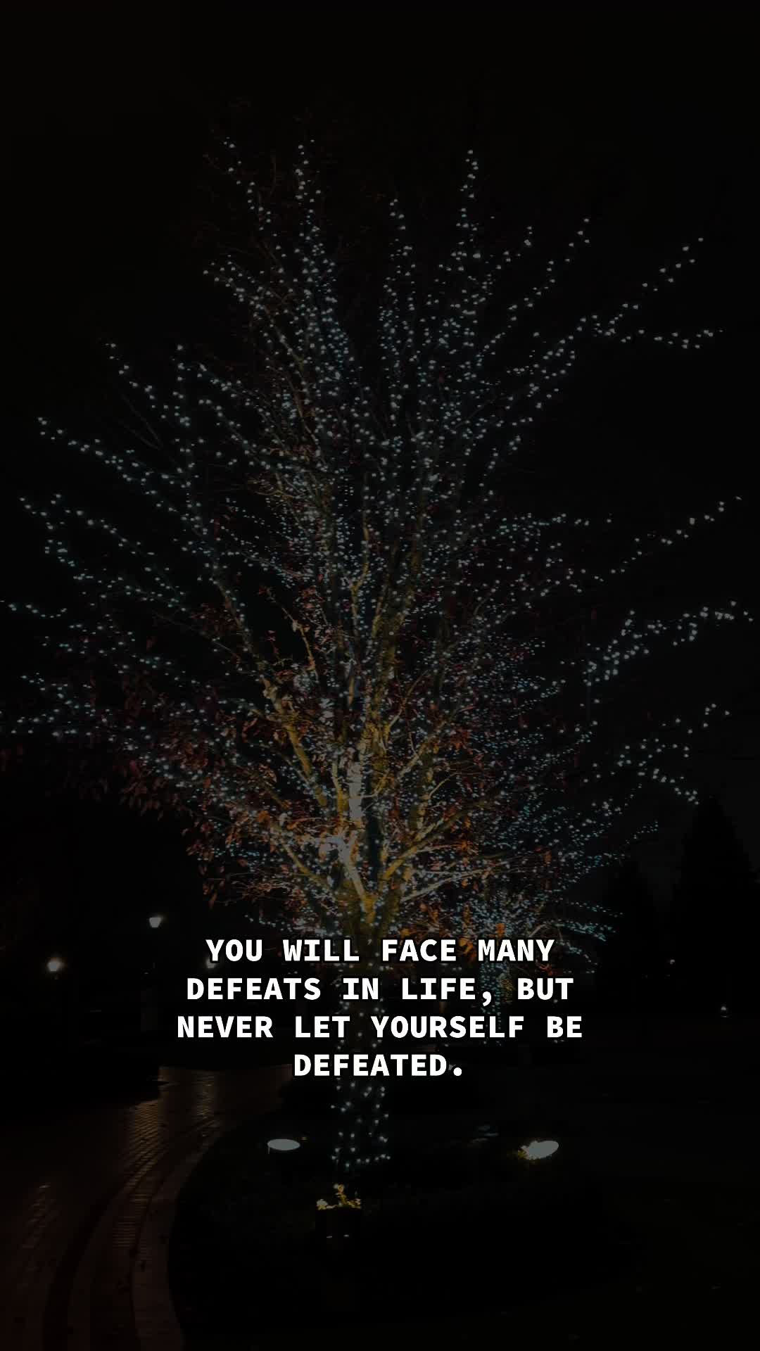 @♾️ 🕊️
