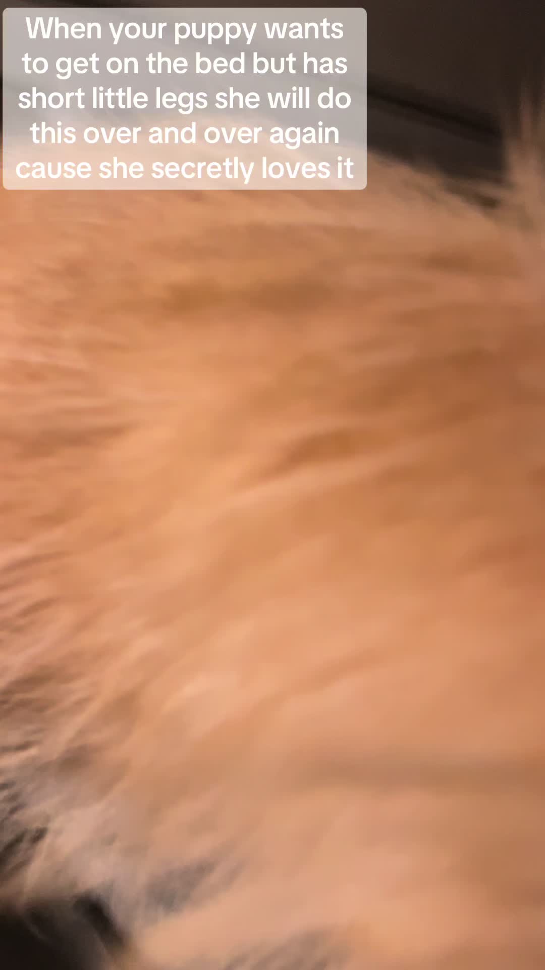 @Becky