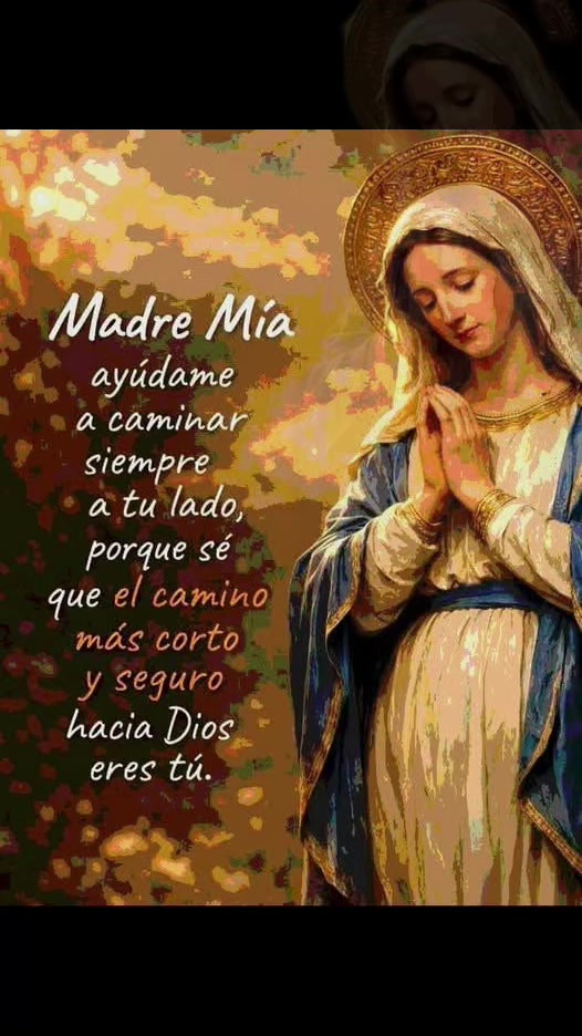 @alegre503