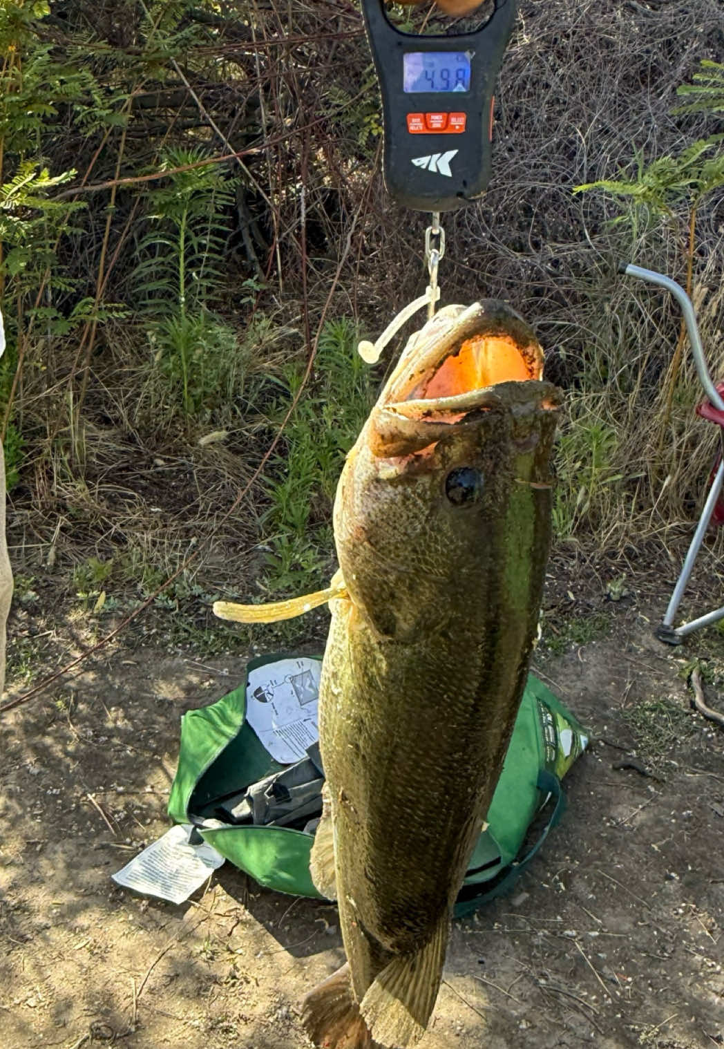 @lifewith__b🎣