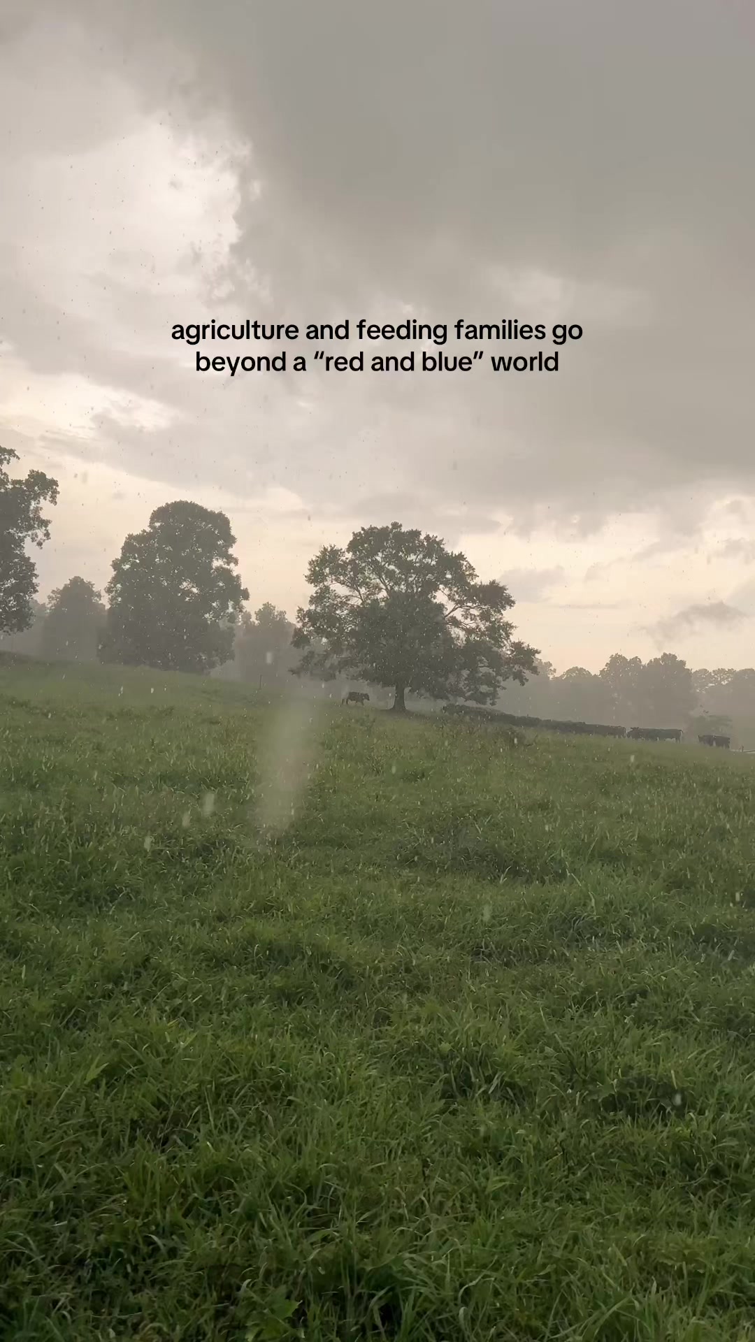 @Lily Hill Farm
