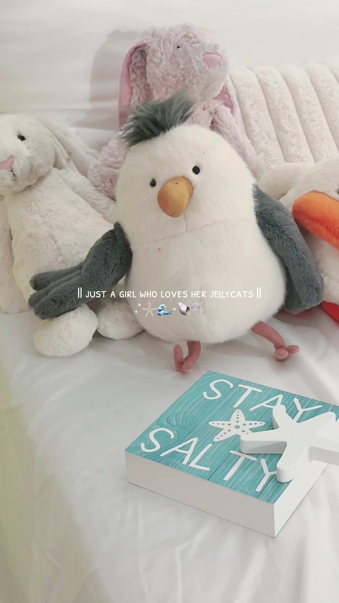 @ᴠ ɪ ᴄ ᴛ ᴏ ʀ ɪ ᴀ 🐚🌸