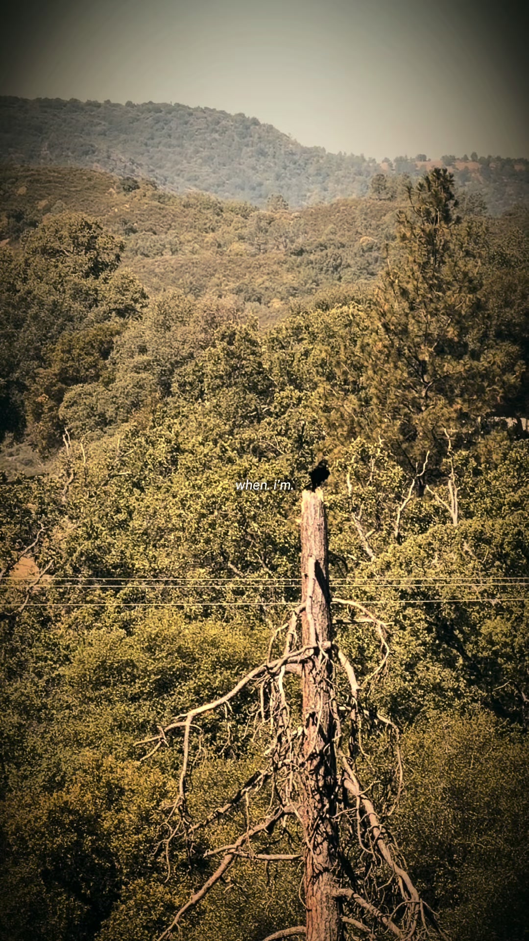 @꧁ঔৣ𐌃𐌀𐌍𐌉ঔৣ꧂
