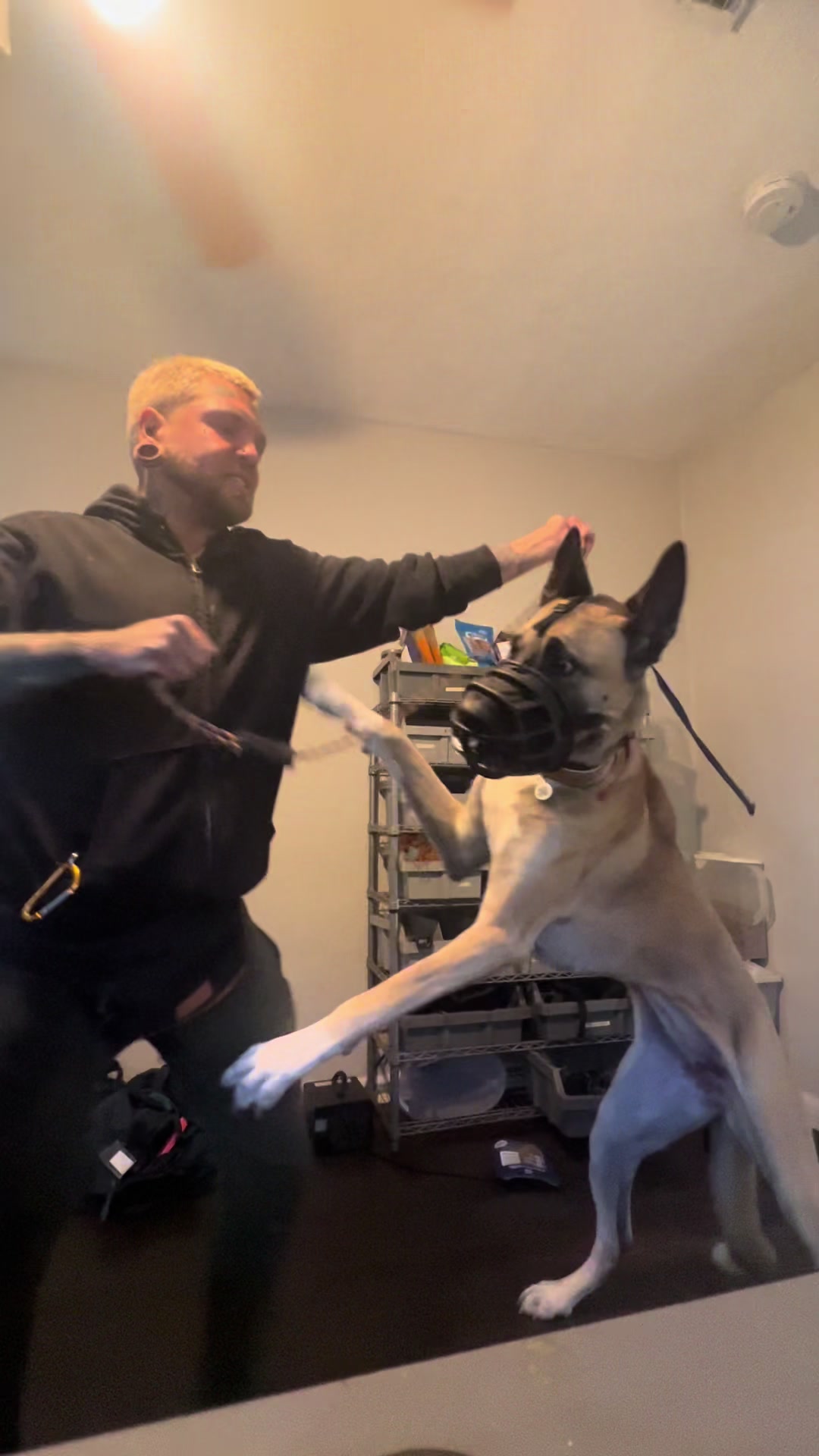 @balancedcanineacademy