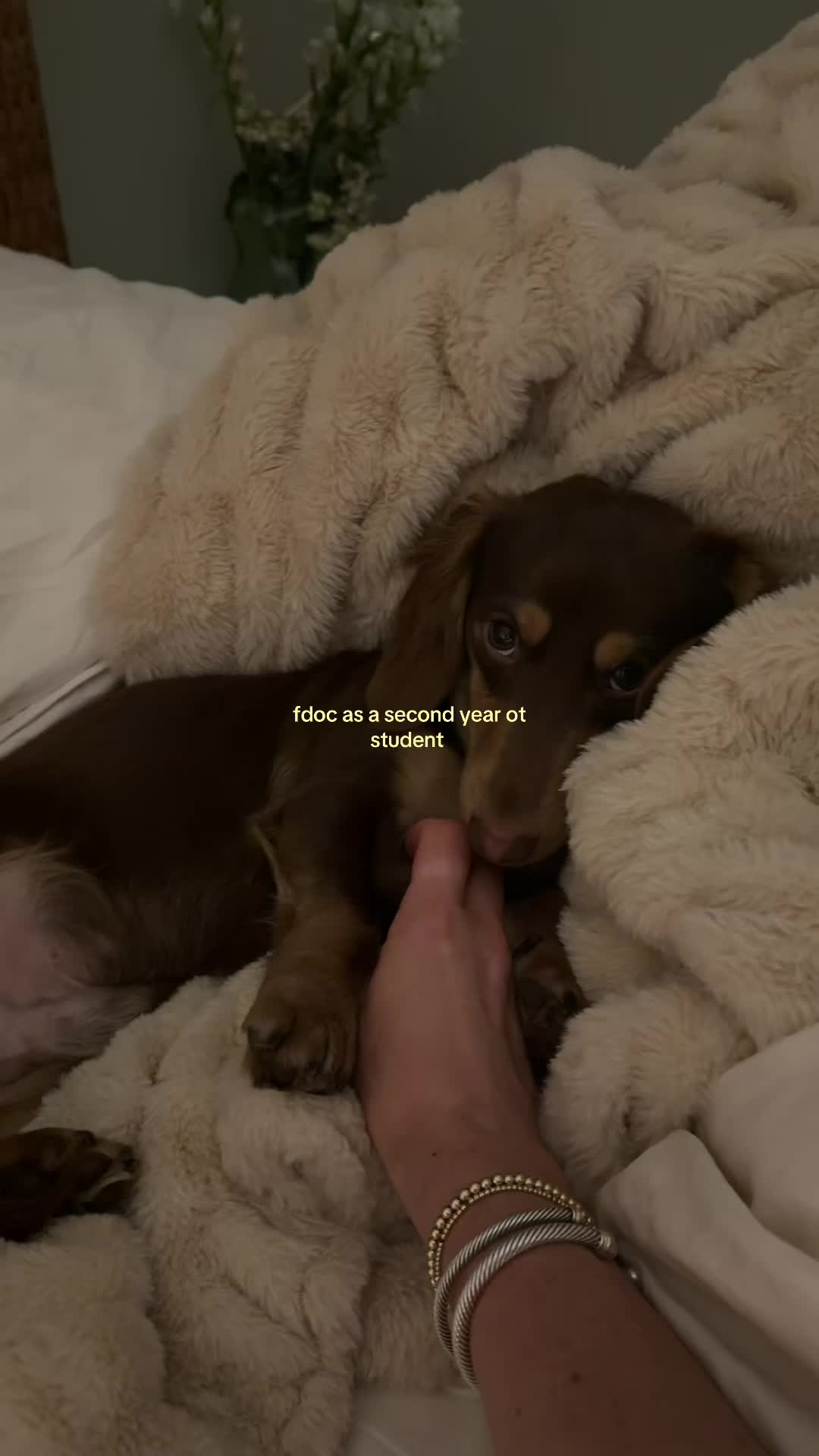 @SJ 🦦