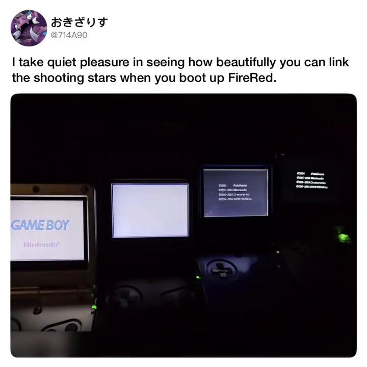 @BuzzdLightner