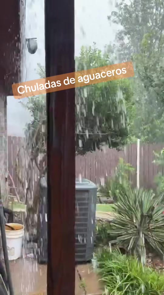 @antonysaavedra55