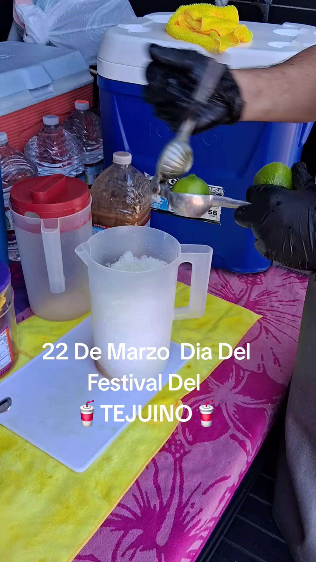 @TEJUINO COSTA ALEGRE LV