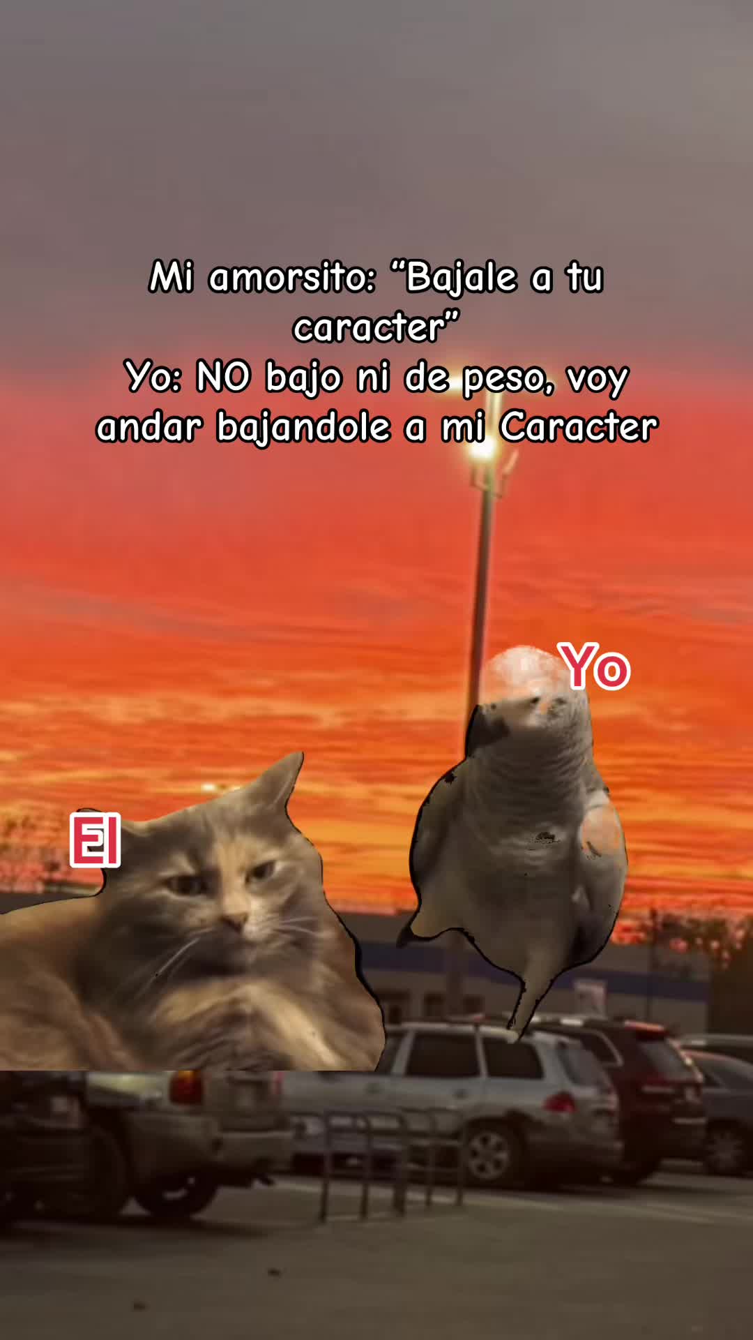 @༒☬𝓛𝓐&upsilon;𝐑𝔸☬༒