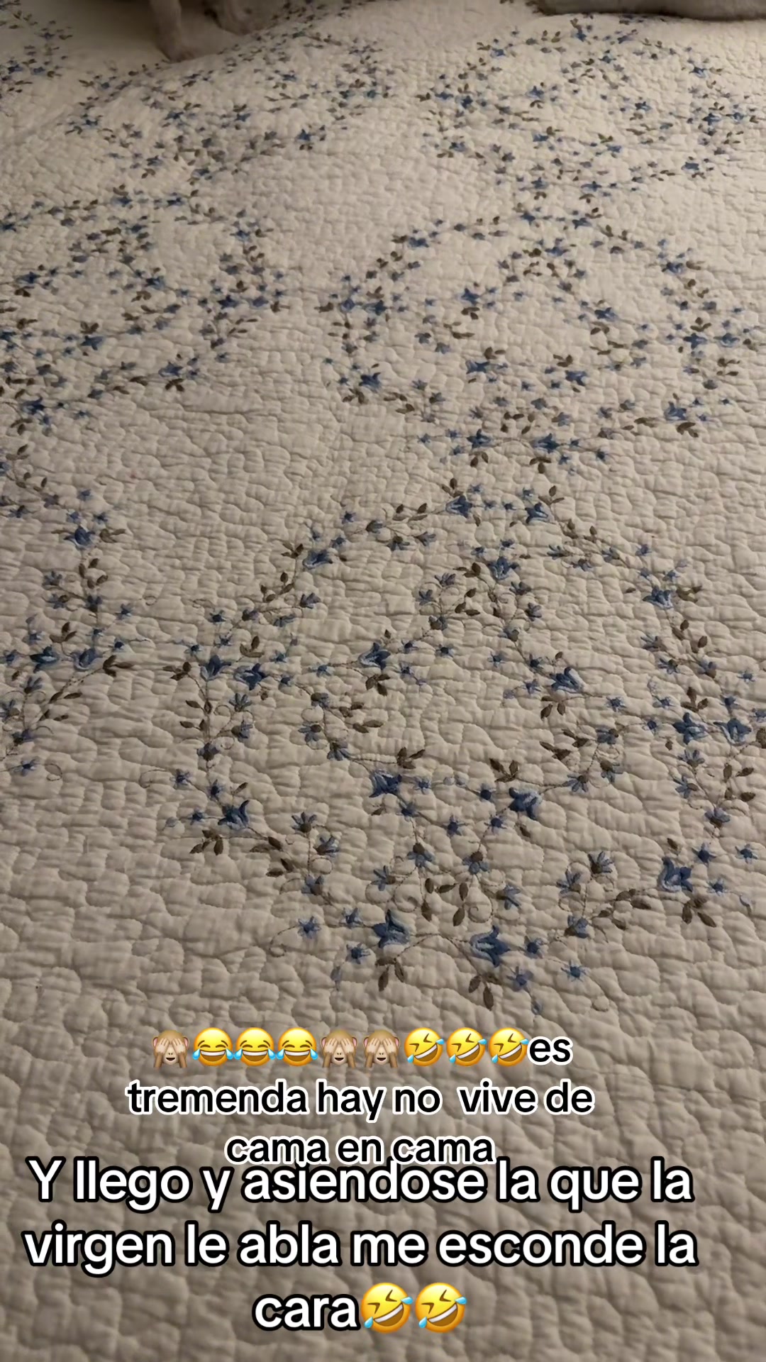 @Michoacanaallyzone