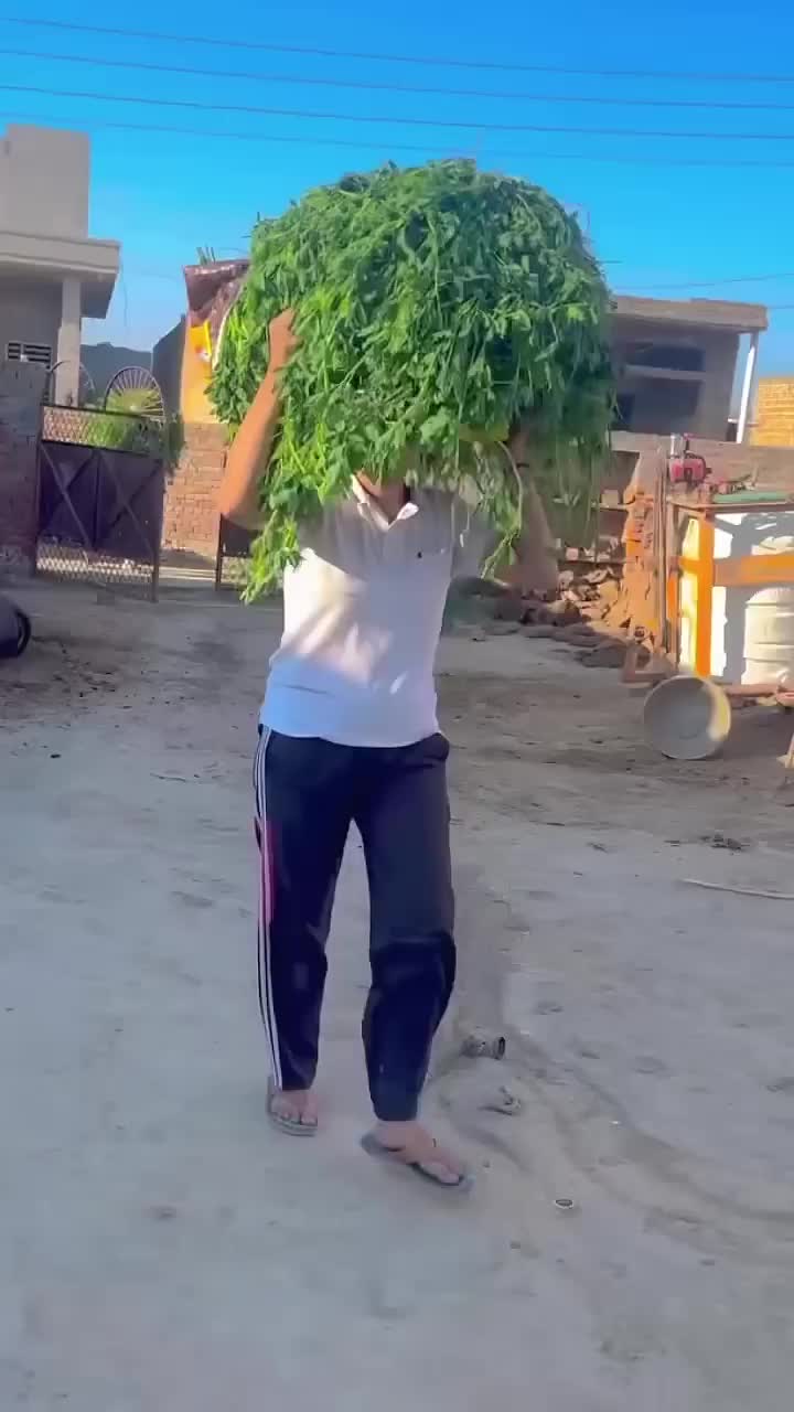 @khusi jatti