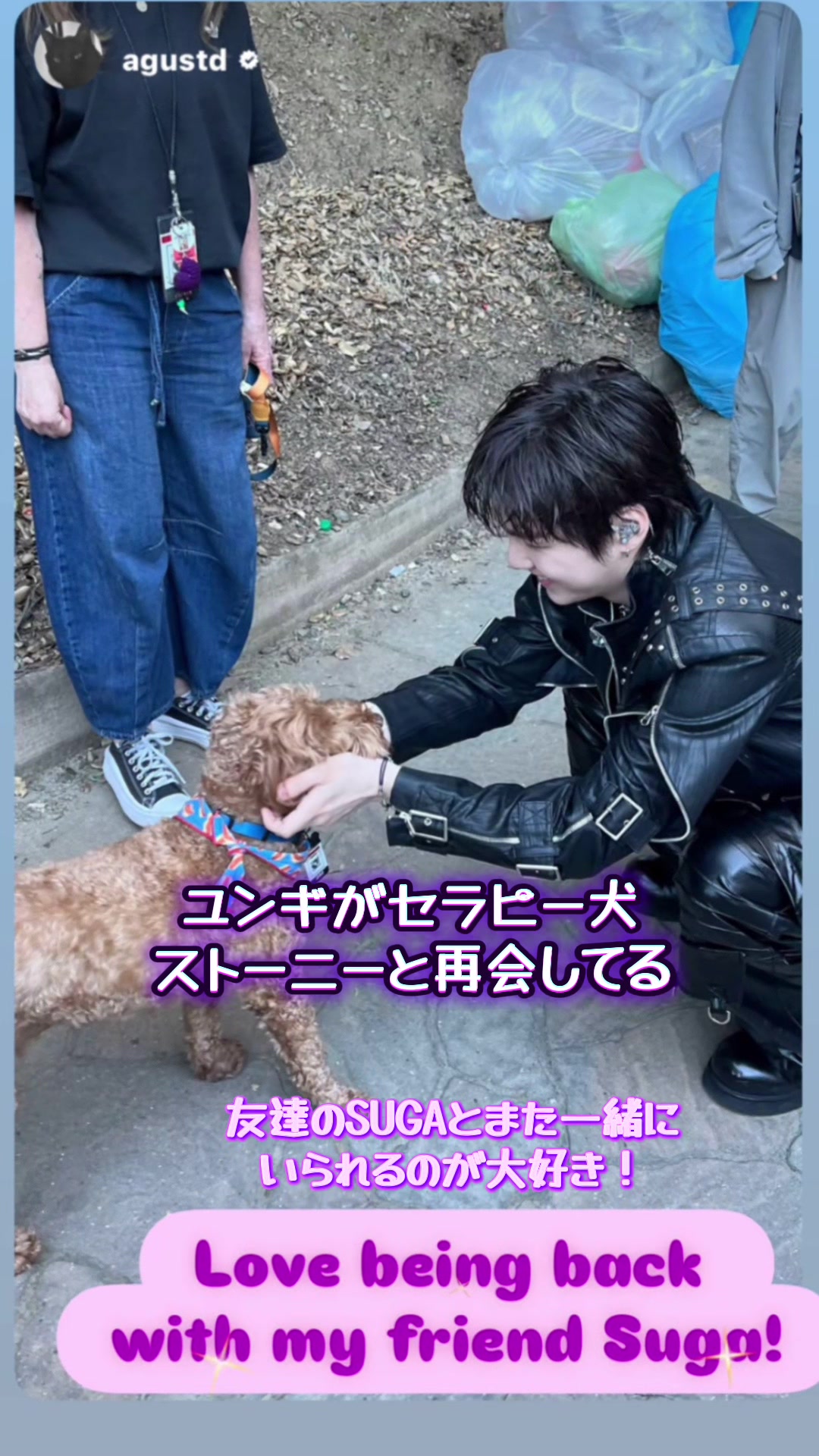 @➴⡱ ぐくまめ .:* *̣̩ ⸝⋆ ♛