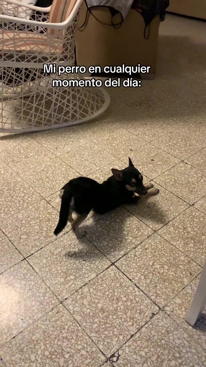 @ℭ𝔥𝔞𝔫𝔱𝔞𝔩 𝔖𝔬𝔱𝔬 🤍