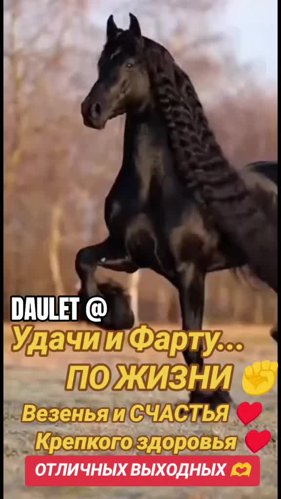 @⚜️♠️♥️ DAULET ♦️♣️ФАРТА ВСЕМ🤙