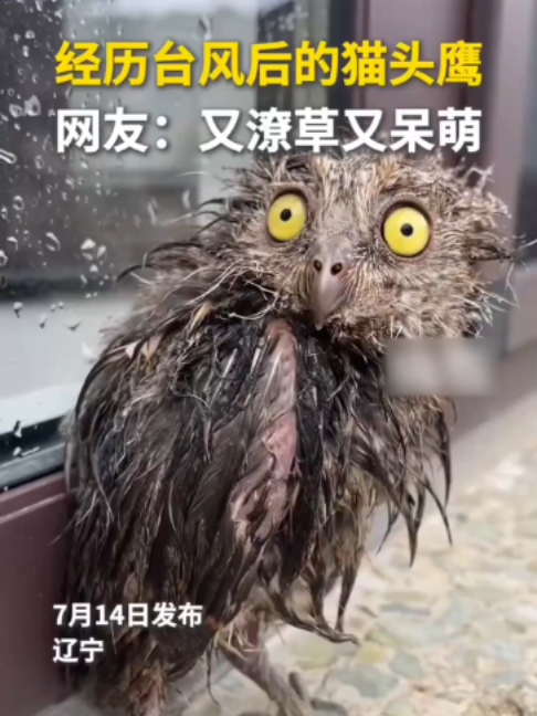 @闽南风~