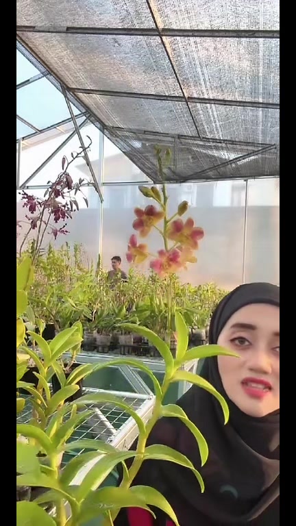 @Anggina Orchid