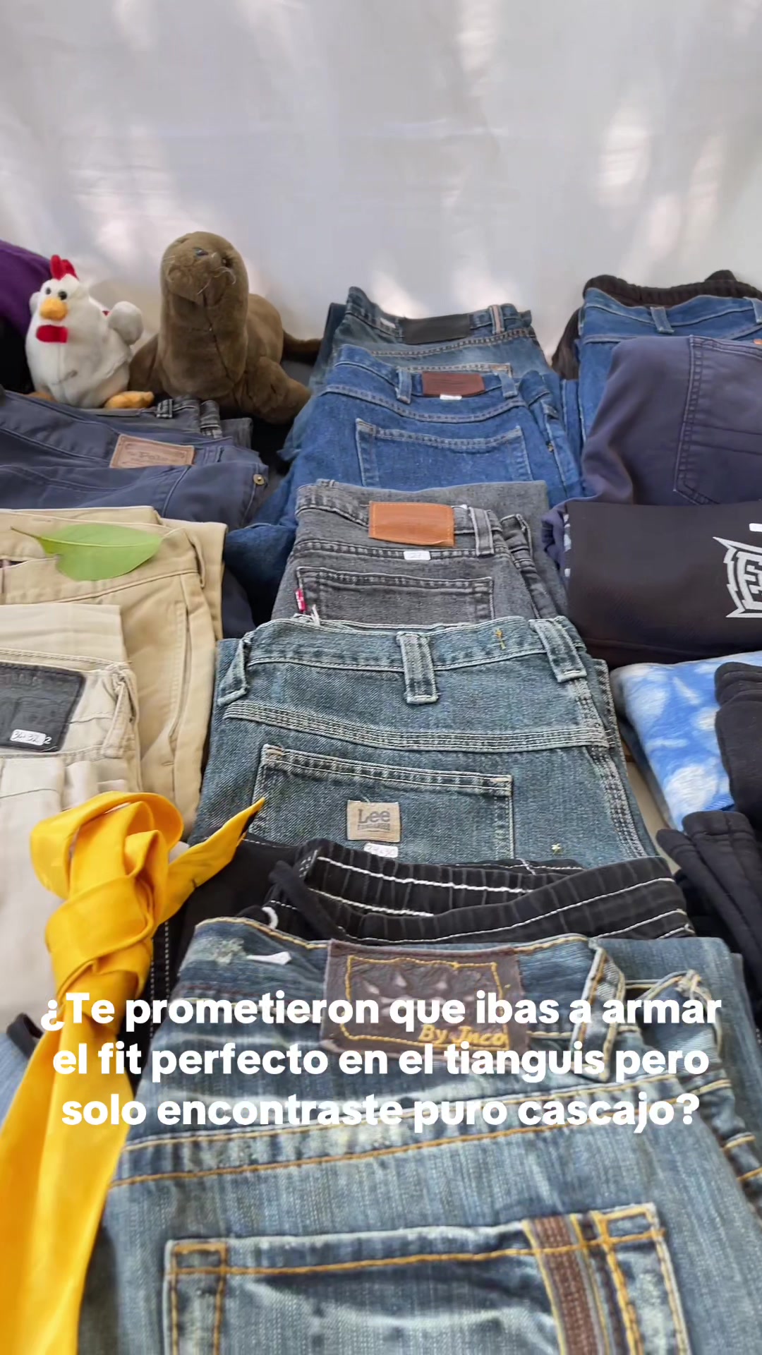 @manitadgmx