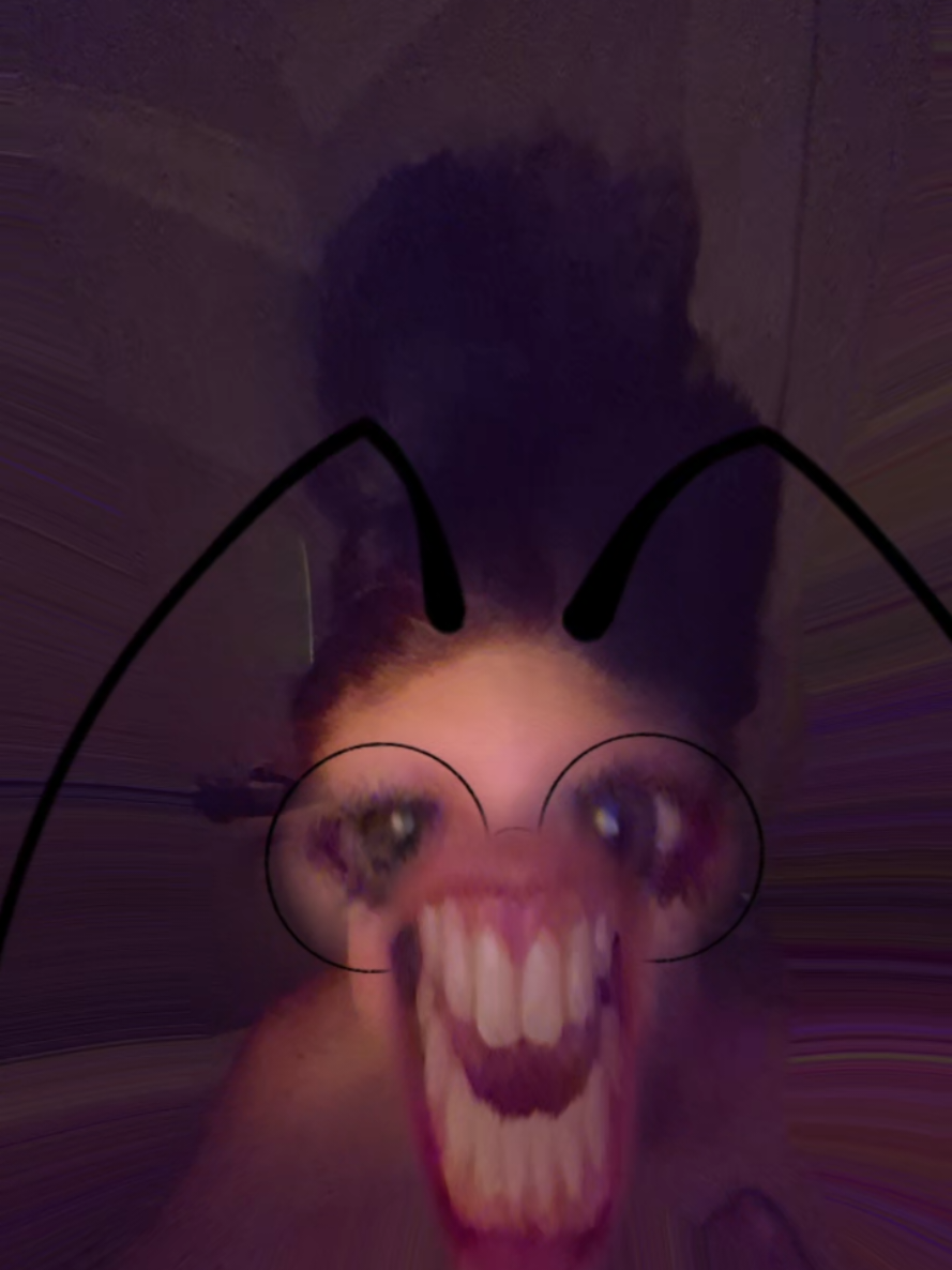@mikkerz