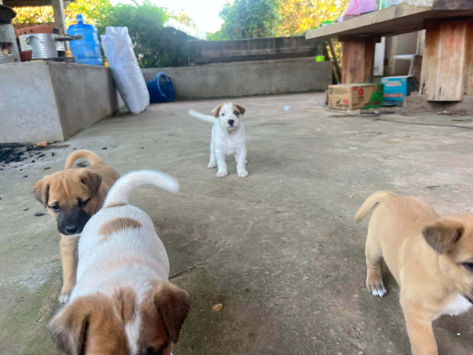 @Ka taiyy🦥🦥