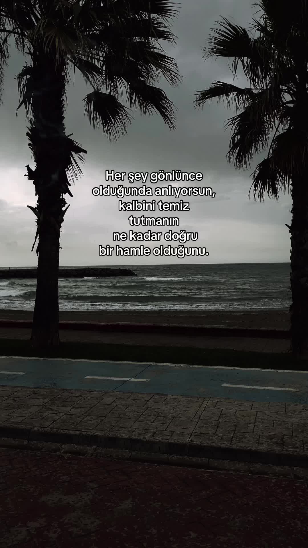 @𝓔 ᥫ᭡ 𝓐