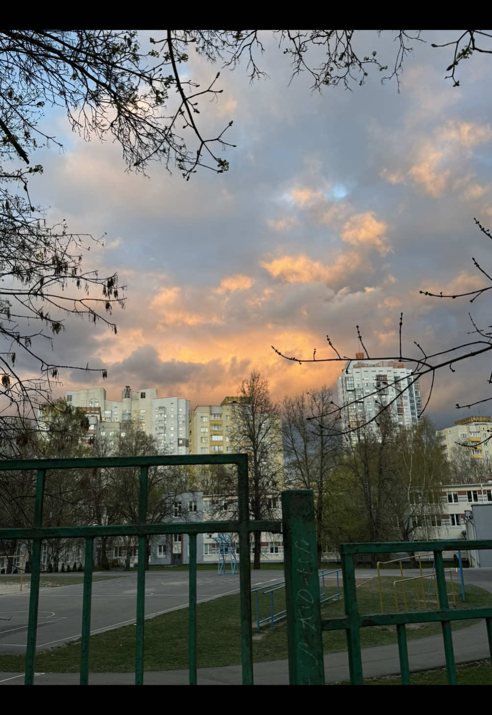 @Olya Chuhalenok