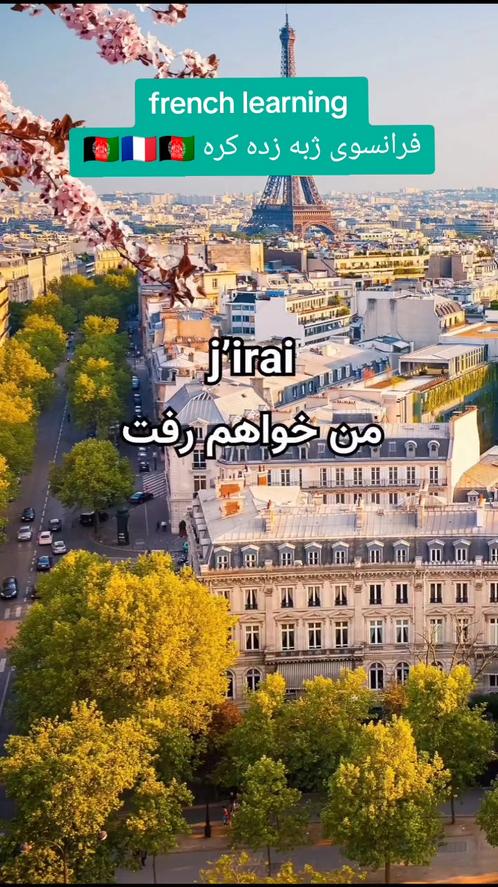 @french learning